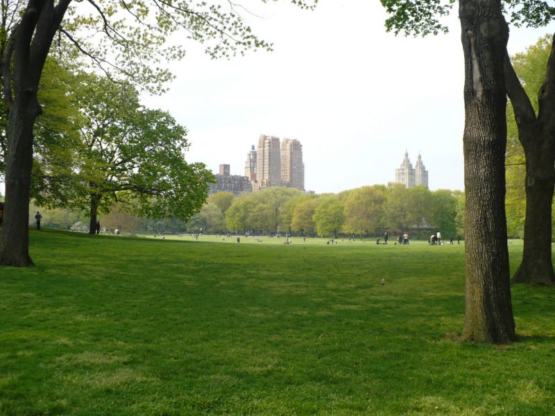 Central Park and the New York skyline