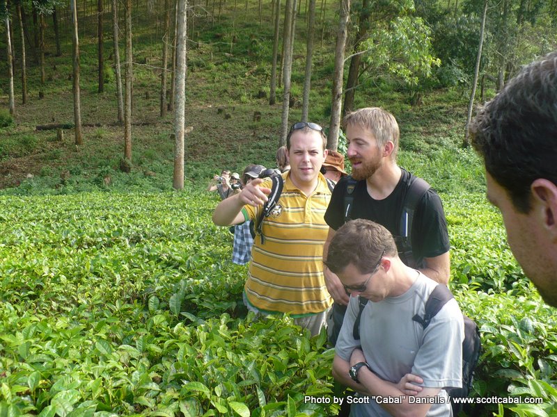 A few of us in the tea plantation