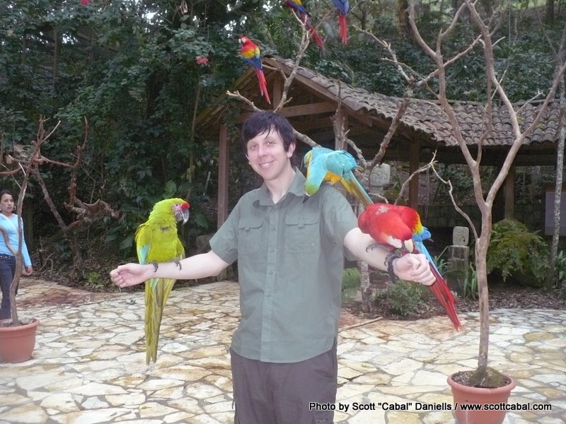 Me and some Parrots