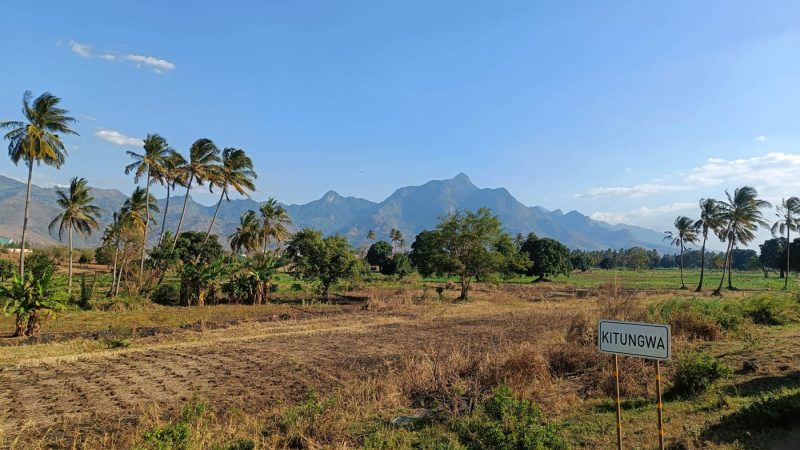 Tanzanian Scenery
