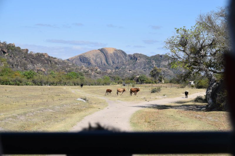 Scenery in the Matobo National Park