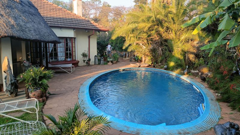 A cold but relaxing swimming pool in Harare