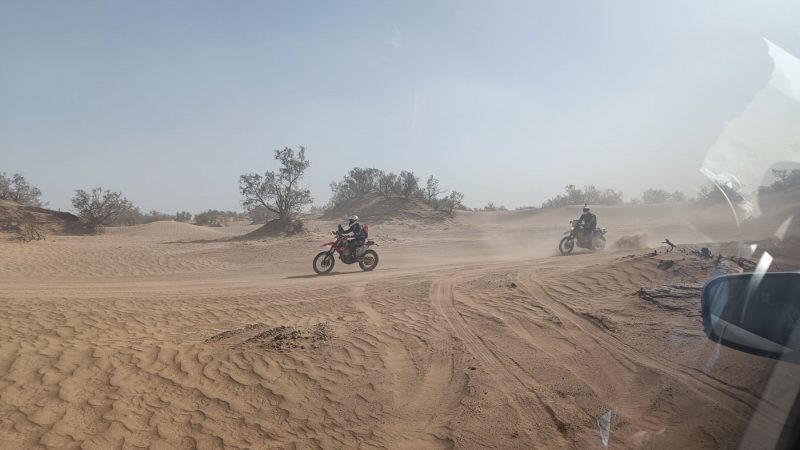 Bikes in the Sahara