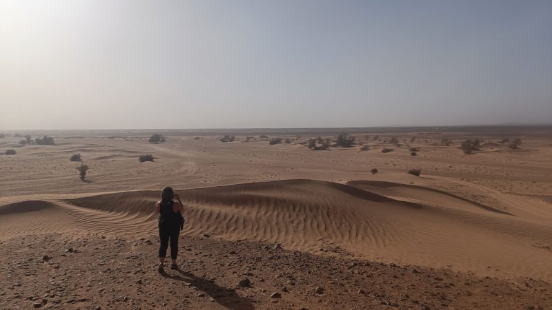 The Sahara in Morocco